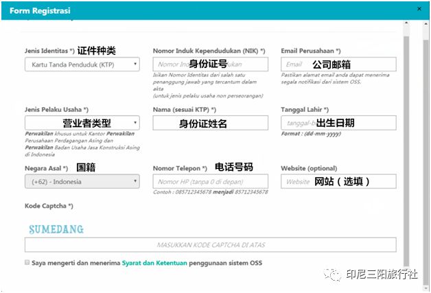 新奥门资料免费大全最新更新内容,新澳门资料免费大全最新更新内容解析