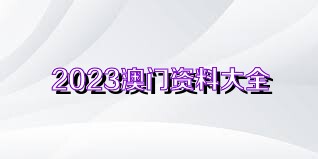 2024澳门资料大全正版资料,澳门资料大全正版资料，探索2024年澳门的全新面貌