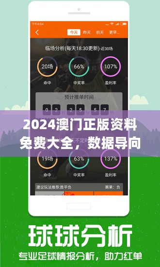 2024年正版资料免费大全功能介绍,2024正版资料免费大全功能介绍及使用指南